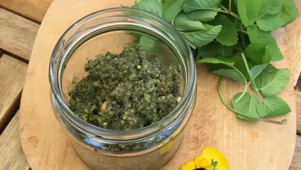 Frisches Giersch-Pesto im Glas, daneben grüne Blätter und gelbe Blüten. Perfekt für Giersch Rezepte.